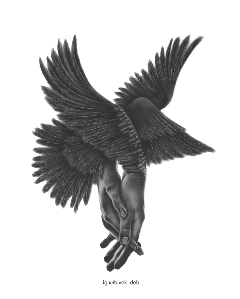 Wings, graphite on paper